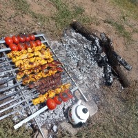 کباب مرغ و گوشت