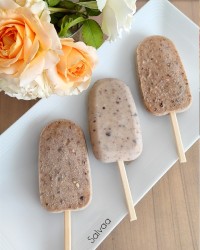 بستنی شکلاتی بدون ثعلب