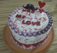 کیک تولد شوهر جان گلم