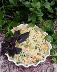 چالش_روزمرگی