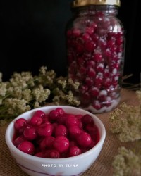 ترشی آلبالو شور