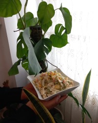 سالاد ماکارونی