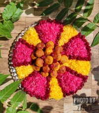 آلبالو پلو با کوفته قلقلی