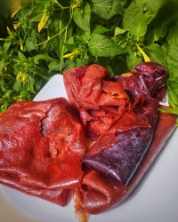 لواشک و آلوچه خونگی من⁦ʕ⁠´⁠•⁠ᴥ⁠•⁠ ⁠ʔ⁩