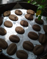 شیرینی دانه قهوه