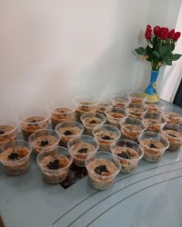 آش کشک ورق بزن قشنگم