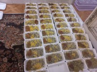 باقالی پلو با مرغ شام شب شش محرم