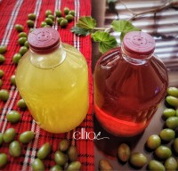 آبغوره به روش سنتی