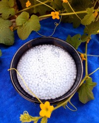 فالوده مرواریدی کرمانی