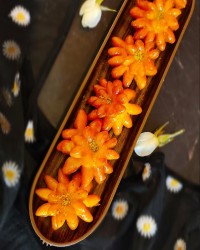 خاگینه گل مینا