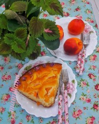 کیک شلیل (استوریای فال روزانه رو از دست ندید)