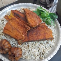 شویدپلوماهی جنوب