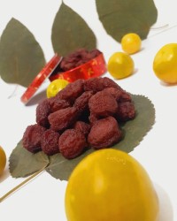 آلوی خشک خونگی
