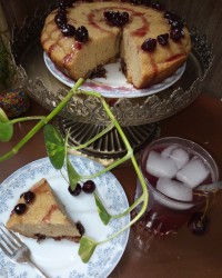 کیک و شربت آلبالو