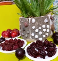 آلوی خشک