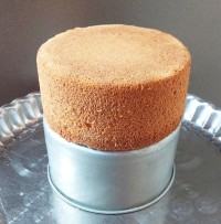 اسفنجی محشر (محبی)