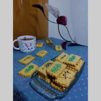 چالش همدل قزوین