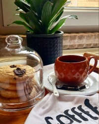 روزمرگی چالش روزمرگی فاطمه زمانی