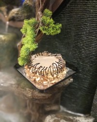 به وقت ۳۱ مرداد