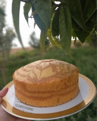 چالش_فاطمه_زمانی
