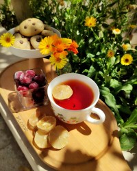 لیمو خشک ورقه ای