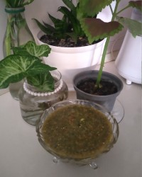 ناز خاتون مازندرانی