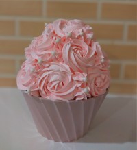 صورتی محبوب من