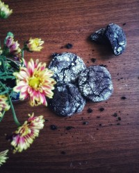 کوکی شکلاتی❤