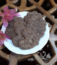 بیسکوییت موگاتا