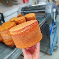 تخته ای کارگاهی معرکه