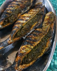 ماهی صُبور با حشو