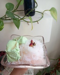 فالوده بستنی