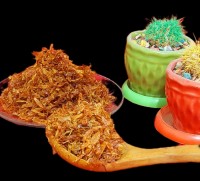 پیاز داغ مجلسی