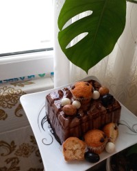 مشکوفی کاکائویی قالبی