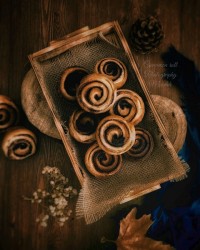 چرخشِ دَوارِ زندگی