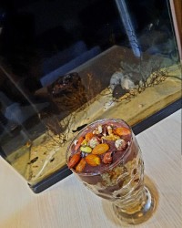 دسر یهویی برای همسری