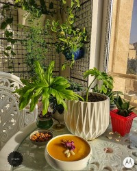 کاچی نبات و زنجبیل