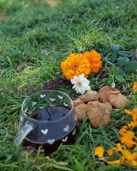 کلوچه خرمایی محلی