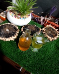 سرکه انگبین (سکنجبین عسلی)