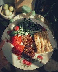 شامی بدون تخم مرغ