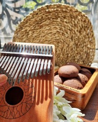 کوکی رژیمی با ۴ ماده