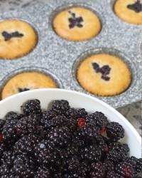 کاپ کیک بلک بری (تمشک)