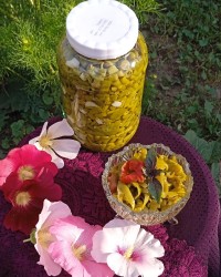ترشی فلفل سبز فوری