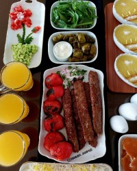 کباب کوبیده شهادت امام رضا (ع)رو تسلیت میگم