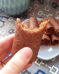 لواشک سیب و آلو