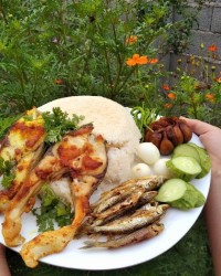 ماهی و کولی سرخ شده