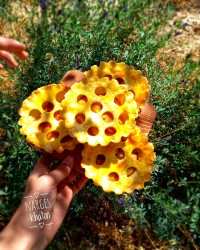 تارت سیب دارچین تارت هلو