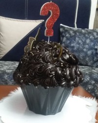 باگر کیک شکلاتی