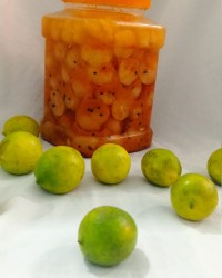 ترشی لیمو ترش