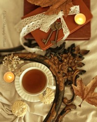 مهرِ پاییز مرا عاشق کرد